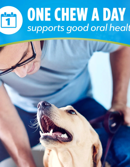 Load image into Gallery viewer, Purina  Activfresh Chicken Flavor Large Breed Adult Dog Dental Chews – 24.1 Oz Pouch (21 Ct)
